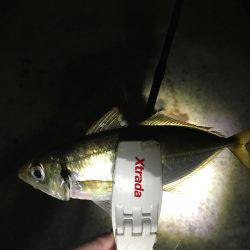 会社帰りに(oﾟ3ﾟb)b