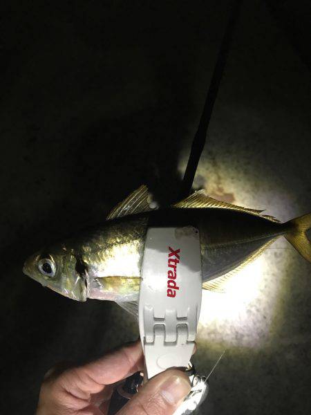 会社帰りに(oﾟ3ﾟb)b