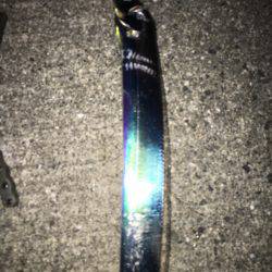 やっと釣れた(^^)