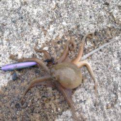 垂水漁港でエギング！！