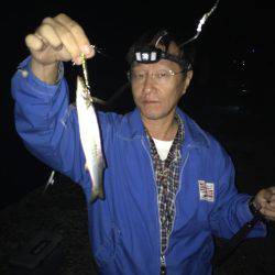 イカ調査釣行〜朝まずめ青物