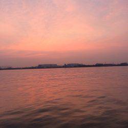 牙一族とハマチ