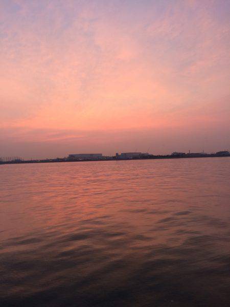 牙一族とハマチ