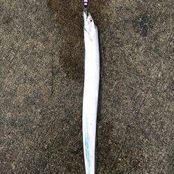 爆風＋小雨でしたが、、