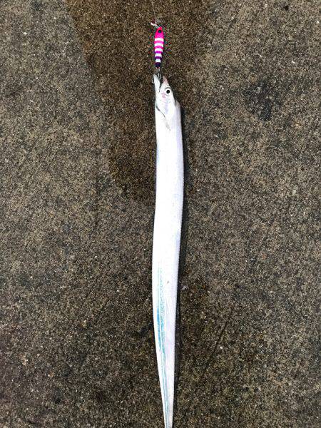 爆風＋小雨でしたが、、