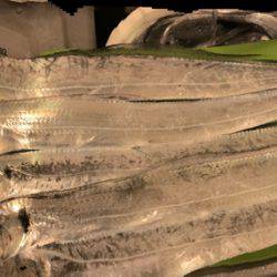 雨だったけど！