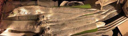 雨だったけど！