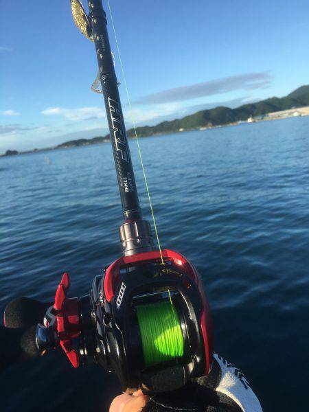 雨上がりの早朝新宮港でオオモンハタ