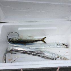 太刀魚釣り