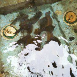 ティップラン開幕