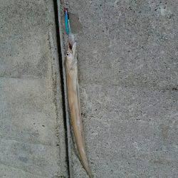 近畿縦断ランガン釣行！