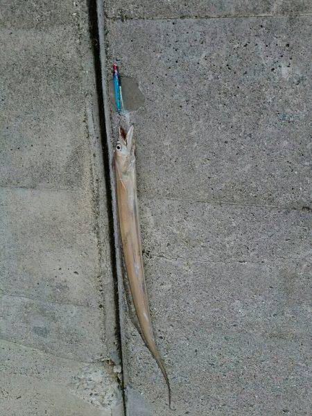 近畿縦断ランガン釣行！