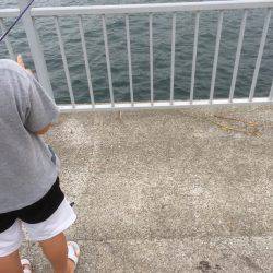 ファミリーフィッシング？