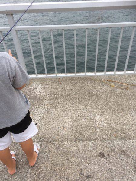 ファミリーフィッシング？