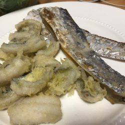 メタルジグでも釣れた！