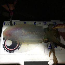 ナイスサイズ！