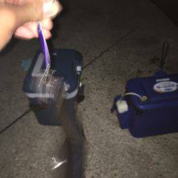 タチウオ喰いが良い