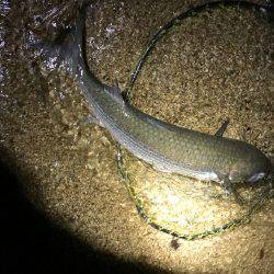 ちょっとシブい(;_;)