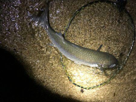 ちょっとシブい(;_;)