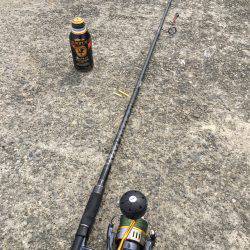 相変わらずサゴシ