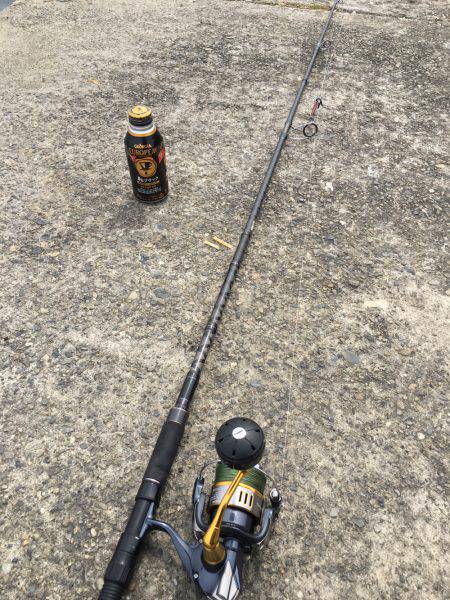 相変わらずサゴシ