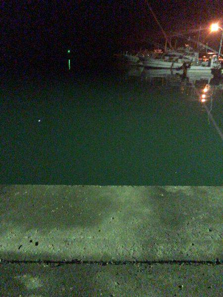 ジギング及びアジングともに厳しい