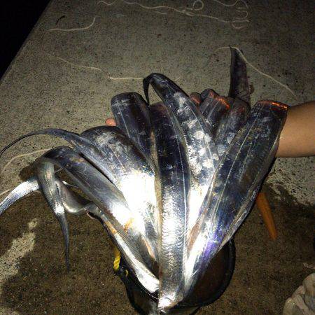 神戸沖タチウオワインド