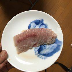 初ショアジギング