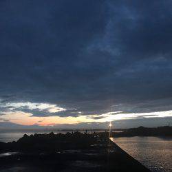 濁り&ゴミ浮遊の中、アオリイカげGET