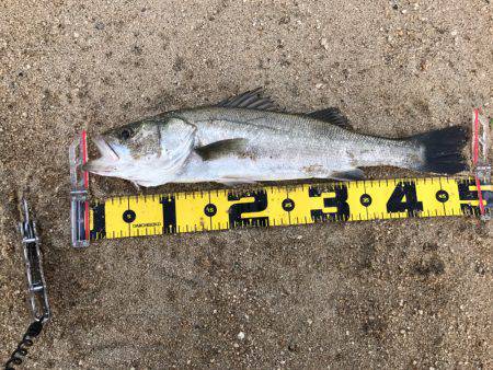 朝明川ウェーディングDAYゲーム