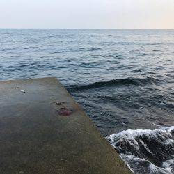 やっぱり朝まずめ(＾ｰ^)