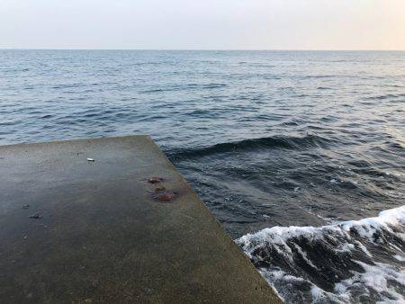 やっぱり朝まずめ(＾ｰ^)