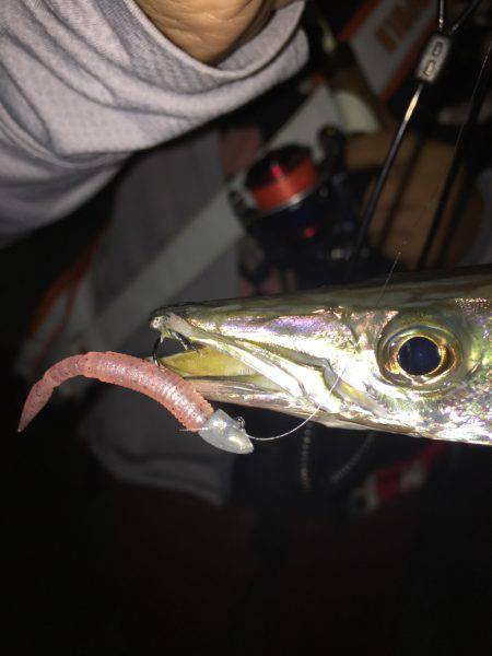 秋のルアー五目