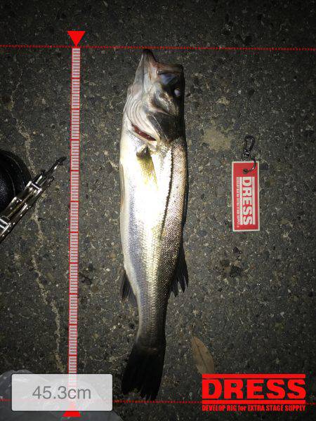 朝明川河口ナイトゲーム