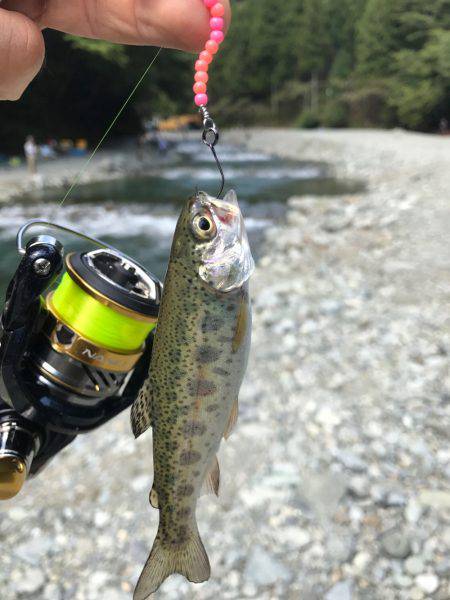 初めての河川管釣り