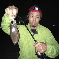 秋アオリイカ調査不発