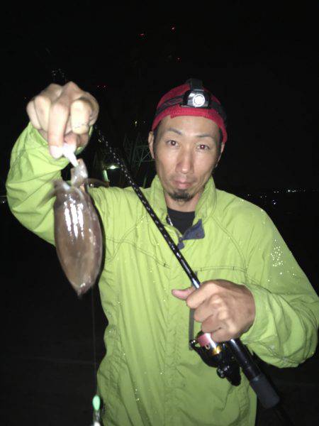 秋アオリイカ調査不発