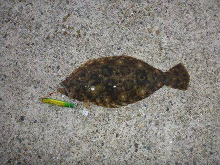 ポーアイ沖堤青物狙い