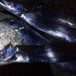 地合い逃しました