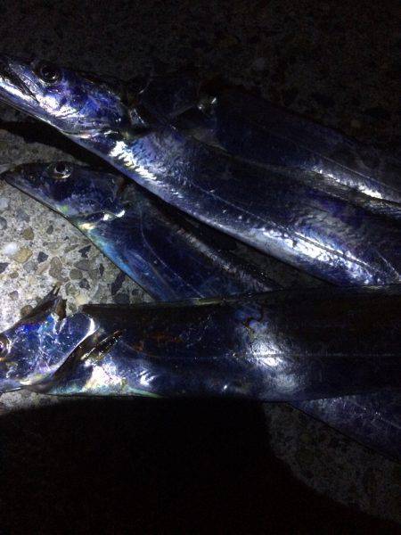 地合い逃しました