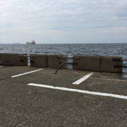 したしぶりの釣果