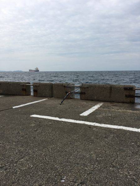 したしぶりの釣果