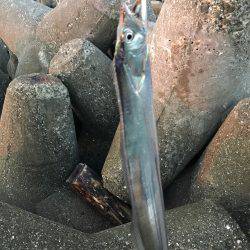 出勤前フィッシング！