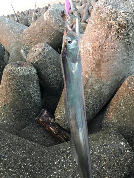 出勤前フィッシング！