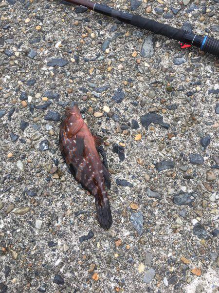 雨降る前に少しだけ・・・。