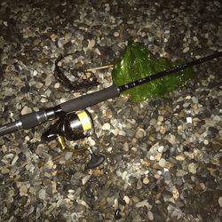 タチウオサゴシ狙い