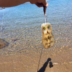 遠征でみなべなまで