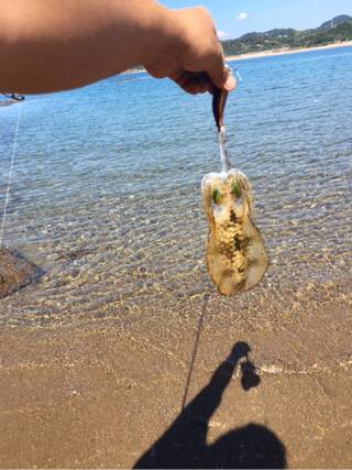 遠征でみなべなまで