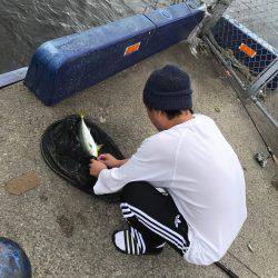 入れ食いだけど時間切れ