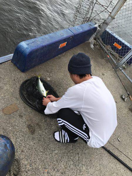 入れ食いだけど時間切れ